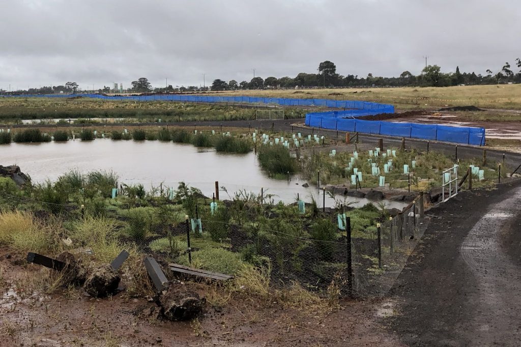 Fauna exclusion fencing protecting a wildlife corridor